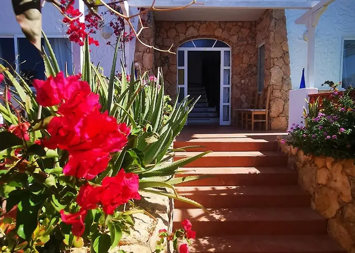 Paradise Of The Island *