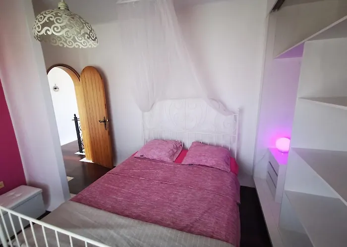 Paradise Of The Island * タラハレホ