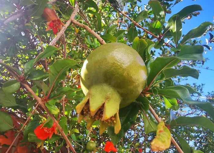 Paradise Of The Island Сasa de vacaciones Tarajalejo